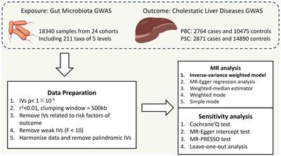 Causal associations between gut microbiota and Cholestatic liver diseases: a Mendelian randomization study